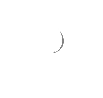 Sillygoose