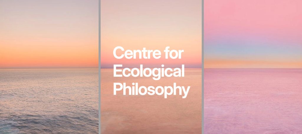 Curated by renowned photographer and thinker Alan McFetridge, this global initiative brings together a diverse range of artists and cultural voices exploring ecological sensing and narrative. Between Tides and Tempers was recognized for its “sensitivity, clarity, and resonance” with the program’s themes, standing out among international submissions.